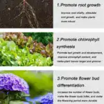 Home Gardening Universal Slow