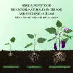 Home Gardening Universal Slow