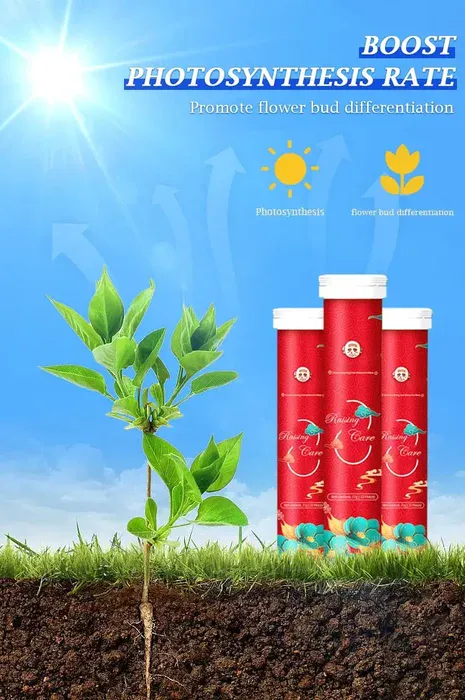 Nutrient Rich Plant Fertilizer