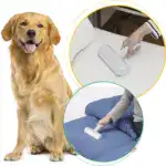 Pet Hair Remover Set - Image 10